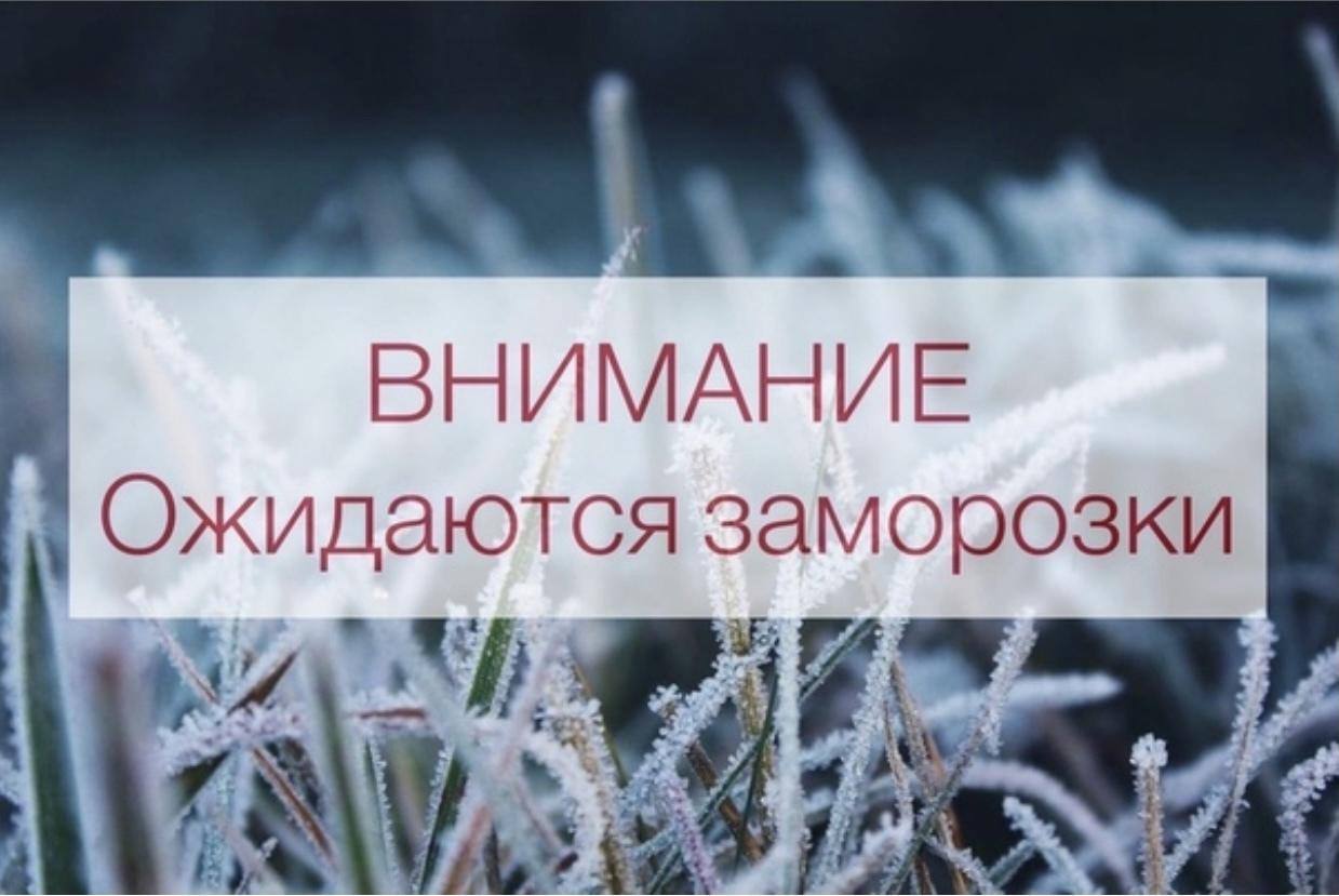 ВНИМАНИЕ! Ожидаются заморозки.